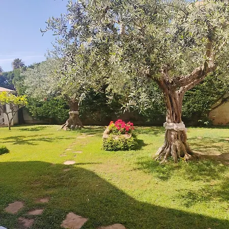 Sicily House Feriehus Marsala